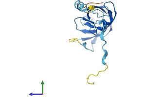 AlphaFold protein structure predicition of Human Recombinant HERVK_113 Protein, UniprotID P63121 (HERVK_113 (AA 1-156) protein (His tag))