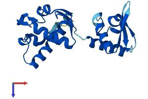 VPS25 Protein (AA 1-176) (His tag)
