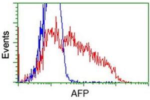Image no. 2 for anti-alpha-Fetoprotein (AFP) antibody (ABIN1496485) (alpha Fetoprotein Antikörper)
