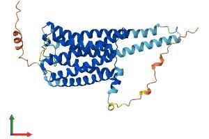 Protein Structure (PS) image for G Protein-Coupled Receptor 45 (GPR45) (AA 1-373) protein (His tag) (ABIN7561409)