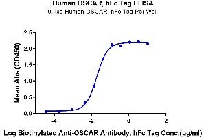 ELISA image for Osteoclast Associated Receptor (OSCAR) (AA 19-229) protein (Fc Tag) (ABIN7275377)