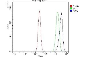 Flow Cytometry analysis of Caco-2 cells using anti-HCCS antibody (ABIN7602424). (HCCS Antikörper  (AA 76-268))