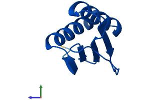 Protein Structure (PS) image for Dynein, Light Chain, LC8-Type 1 (DYNLL1) (AA 1-89) protein (His tag) (ABIN7547282)