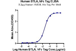 ELISA image for B and T Lymphocyte Associated (BTLA) (AA 31-150) protein (Fc Tag) (ABIN7273997)