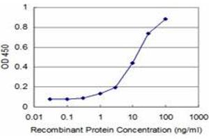 Detection limit for recombinant GST tagged NKX3-1 is approximately 1ng/ml as a capture antibody. (NKX3-1 Antikörper  (AA 100-209))