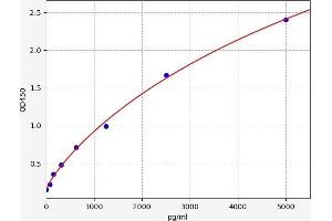 PSIP1 ELISA Kit