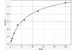 Typical standard curve (Mitogen-Activated Protein Kinase (MAPK) ELISA Kit)