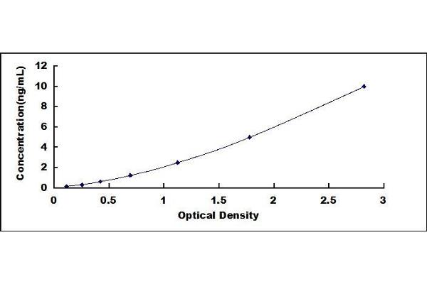 UCP1 ELISA Kit