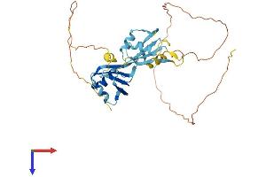 HNRNPAB Protein (AA 1-332) (His tag)