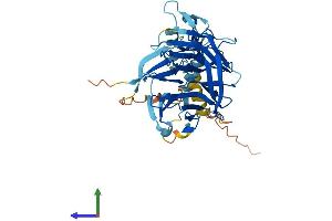 Protein Structure (PS) image for NHL Repeat Containing 1 (NHLRC1) (AA 1-401) protein (His tag) (ABIN7564413)