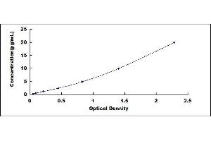 Typical standard curve (INHBC ELISA Kit)