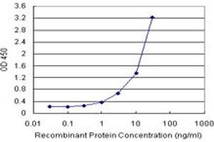 TNFRSF17 (Human) Matched Antibody Pair