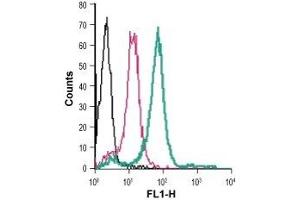 Cell surface detection of TREM2 in live intact human THP-1 monocytic leukemia cells: (black line) Cells. (TREM2 Antikörper  (Extracellular) (FITC))