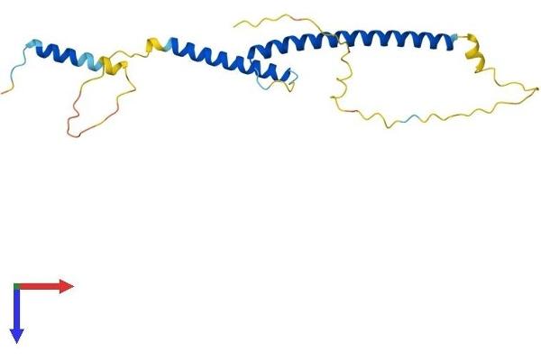 MXD3 Protein (AA 1-206) (His tag)