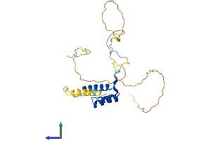 Protein Structure (PS) image for Homeobox C8 (HOXC8) (AA 1-242) protein (His tag) (ABIN7548418)