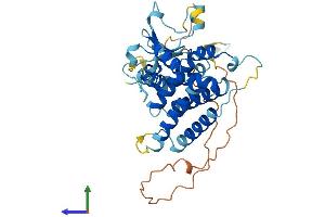 Protein Structure (PS) image for F-Box Protein 25 (FBXO25) (AA 1-367) protein (His tag) (ABIN7547659)