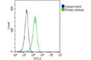 Overlay histogram showing Hela cells stained with (ABIN387816 and ABIN2843905)(green line). (EGFR Antikörper)