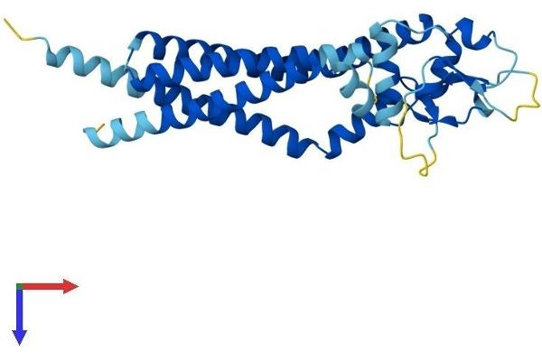 CD82 Protein (CD82) (AA 1-266) (His tag)