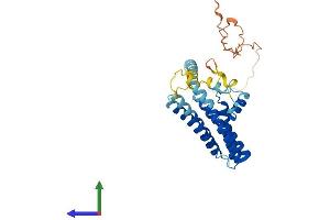 AlphaFold protein structure predicition of Human Recombinant YIF1B Protein, UniprotID Q5BJH7