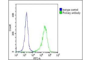 Overlay histogram showing HeLa cells stained with (ABIN392570 and ABIN2842109)(green line). (PIK3R1 Antikörper  (N-Term))