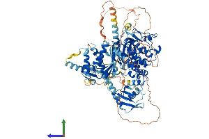 Protein Structure (PS) image for Terminal Uridylyl Transferase 1, U6 SnRNA-Specific (TUT1) (AA 1-869) protein (His tag) (ABIN7564699)