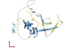 Protein Structure (PS) image for BRF1, RNA polymerase III transcription initiation factor subunit (BRF1) (AA 1-676) protein (His tag) (ABIN7559308)