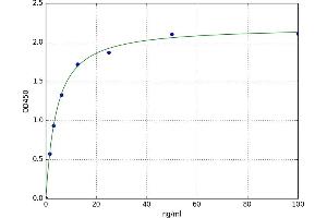 A typical standard curve