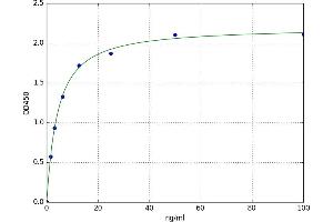 A typical standard curve (COL27A1 ELISA Kit)