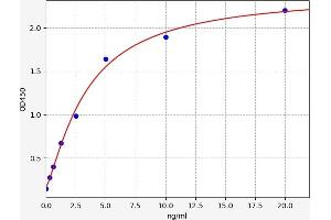 S100 Calcium Binding Protein A16 (S100A16) ELISA Kit