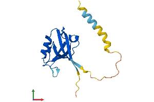 Protein Structure (PS) image for Synaptojanin 2 Binding Protein (SYNJ2BP) (AA 1-145) protein (His tag) (ABIN7561048)