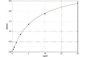 A typical standard curve