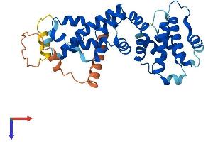FBXO8 Protein (AA 1-319) (His tag)