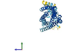 Protein Structure (PS) image for G Protein-Coupled Receptor 171 (GPR171) (AA 1-319) protein (His tag) (ABIN7548154)