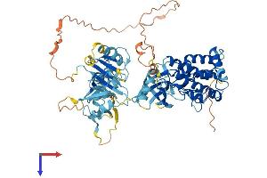 LIM Domain Kinase 1 Protein (LIMK1) (AA 1-647) (His tag)