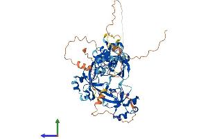 Protein Structure (PS) image for L(3)mbt-Like 4 (L3MBTL4) (AA 1-623) protein (His tag) (ABIN7549151)