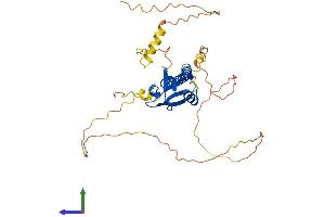 Protein Structure (PS) image for Cytohesin 1 Interacting Protein (CYTIP) (AA 1-359) protein (His tag) (ABIN7546946)