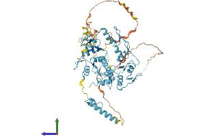 REPIN1 Protein (AA 1-567) (His tag)