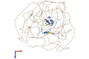 EMSY Protein (AA 1-1322) (His tag)