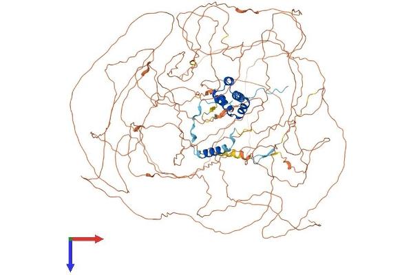 EMSY Protein (AA 1-1322) (His tag)