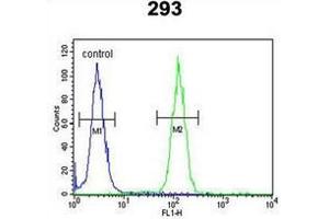 Flow cytometric analysis of 293 cells using NCOA7 Antibody (N-term) Cat.
