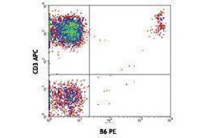 Flow Cytometry (FACS) image for anti-TCR, V delta 2 antibody (PE) (ABIN2663923) (TCR, V delta 2 Antikörper (PE))