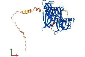Protein Structure (PS) image for Acyl-CoA Thioesterase 7 (ACOT7) (AA 1-381) protein (His tag) (ABIN7559970)