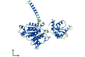 AlphaFold protein structure predicition of Mouse Recombinant Mocs3 Protein, UniprotID A2BDX3