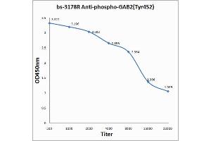 Antigen: 0. (GAB2 Antikörper  (pTyr452))