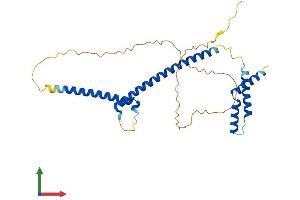 Protein Structure (PS) image for MAX-Like Protein X (MLX) (AA 1-298) protein (His tag) (ABIN7549389)