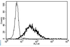 Flow Cytometry (FACS) image for anti-Interleukin 2 Receptor, alpha (IL2RA) antibody (ABIN1106136) (CD25 Antikörper)