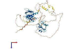 SHC2 Protein (AA 1-573) (His tag)