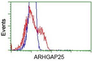 Image no. 4 for anti-rho GTPase Activating Protein 25 (ARHGAP25) antibody (ABIN1496707) (ARHGAP25 Antikörper)