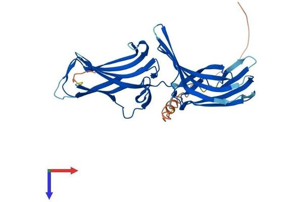 VPS26B Protein (AA 1-336) (His tag)