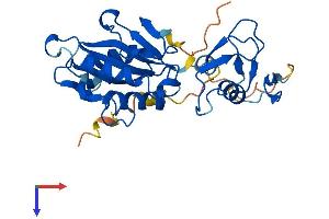 SLX1A/GIYD2 Protein (AA 1-270) (His tag)